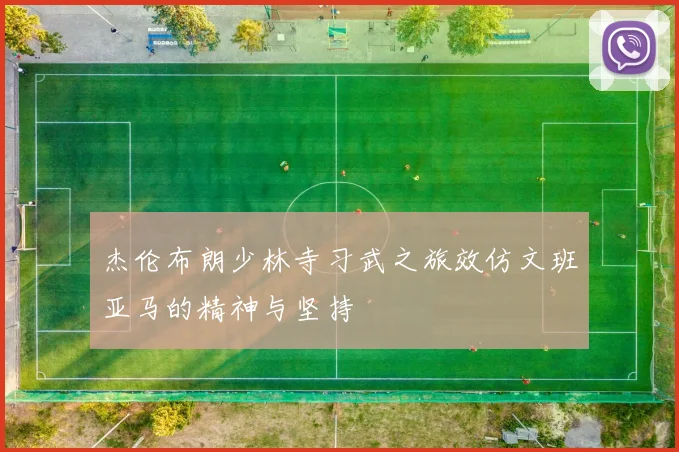 杰伦布朗少林寺习武之旅效仿文班亚马的精神与坚持